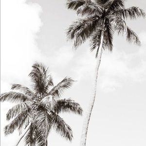 Meet your Posher, Yailin